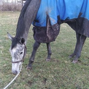 Meet your Posher, Rochelle